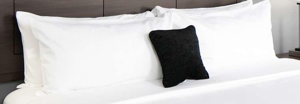 Quality Inn Center City Philadelphia Room photo